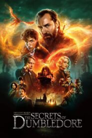 Fantastic Beasts: The Secrets of Dumbledore2022