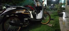 scoopy tahun 2010