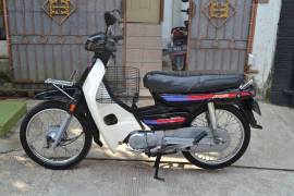 Astrea Grans bulus tahun 1992