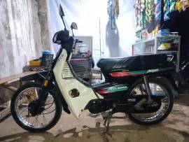 Astrea Grand Bulus