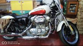 Harley Davidson Sportster XL 883 - MABUA Limited E