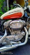 Harley Davidson Sportster XL 883 - MABUA Limited E