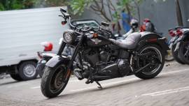 Softail fatboy lo 2009