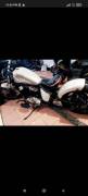 Honda shadow 750