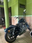 HARLEY DAVIDSON SPORTER BLUE PEARL 2013 full paper