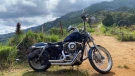 HARLEY DAVIDSON SPORTER BLUE PEARL 2013 full paper