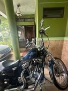 HARLEY DAVIDSON SPORTER BLUE PEARL 2013 full paper