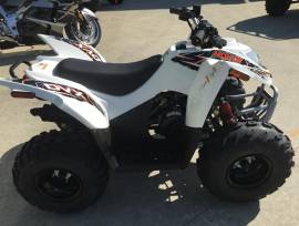 Motor ATV 90 cc Model Sport – Tersedia Manual / Me