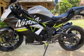 Ninja 250 sl