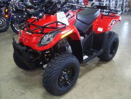 Motor ATV 300 UTILITY Model Jeep – Tersedia Manual