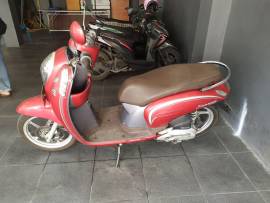 Honda Scoopy Stylish