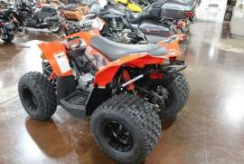 Atv Can-Am DS 90