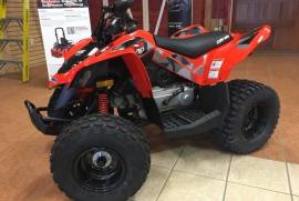 Atv Can-Am DS 70