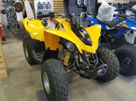 Motor Atv Can-Am DS 90