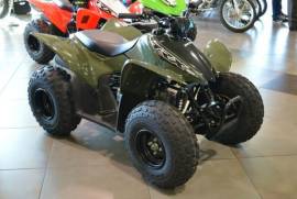 Motor Atv Honda TRX90X