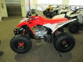 Motor Atv Honda TRX250X