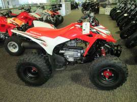 Motor Atv Honda TRX250X