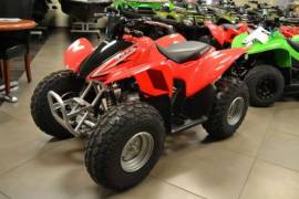 Motor Atv Honda TRX 90X