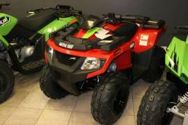 Motor Atv Arctic Cat Alterra 90