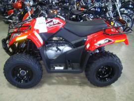 Motor Atv Arctic Cat 300 UTILITY