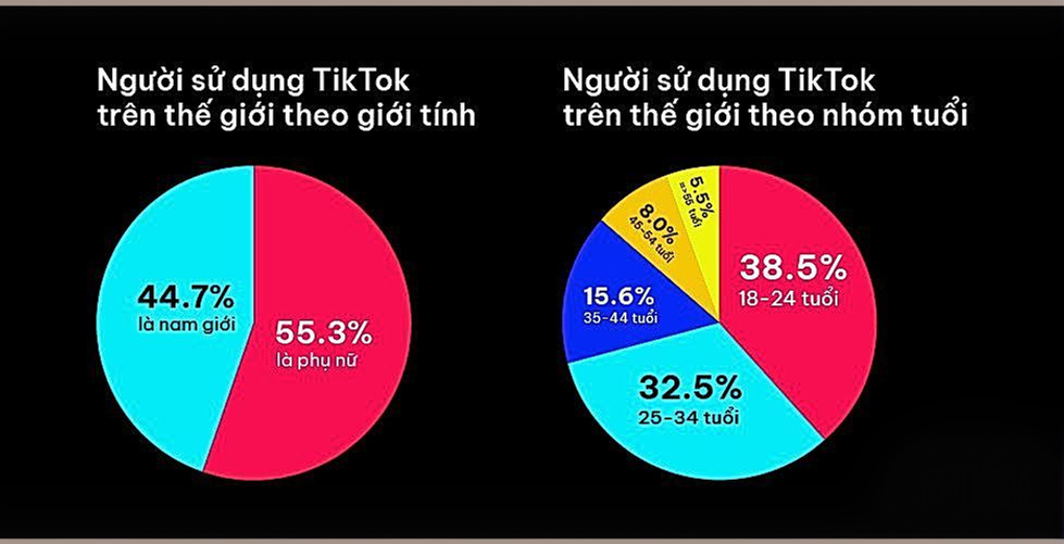 số liệu người dùng TikTok