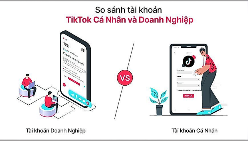 So sánh tài khoản TikTok cá nhân và doanh nghiệp