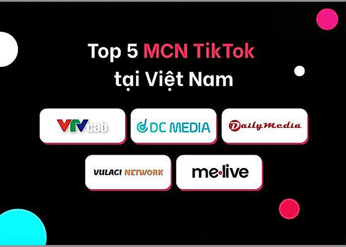 Top 5 MCN TikTok tại Việt Nam