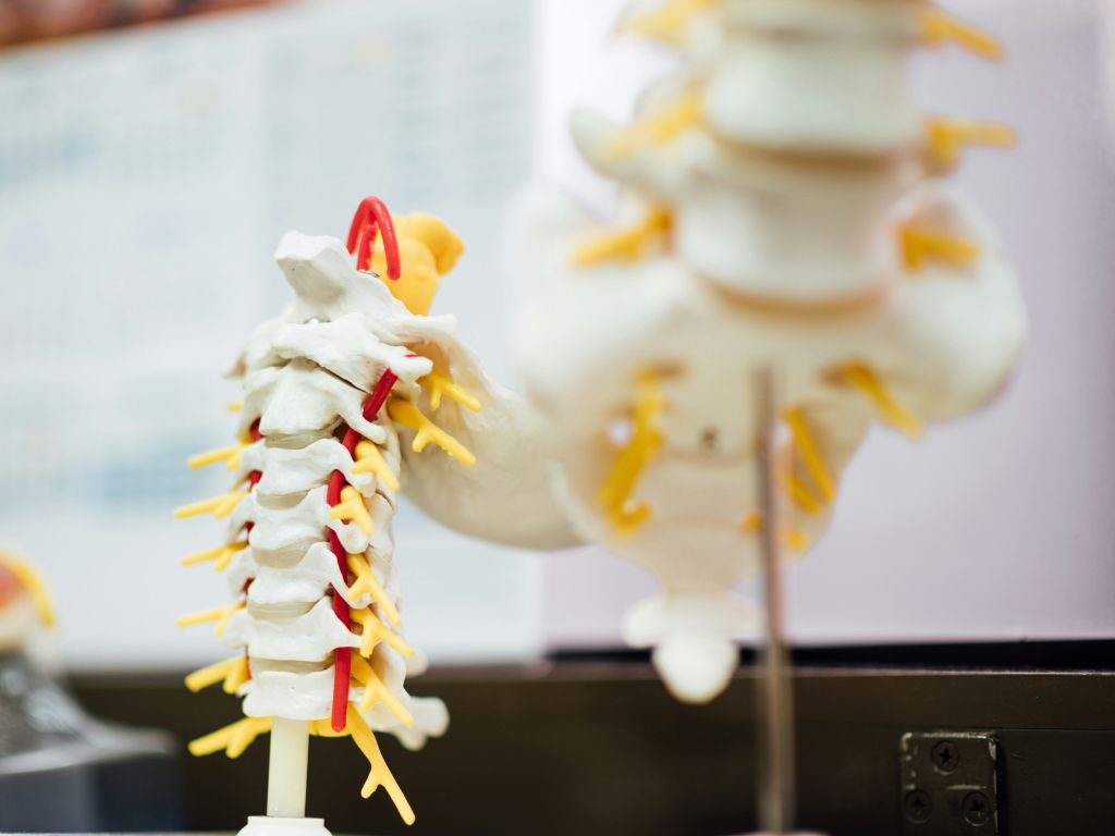 chiropractor singapore price