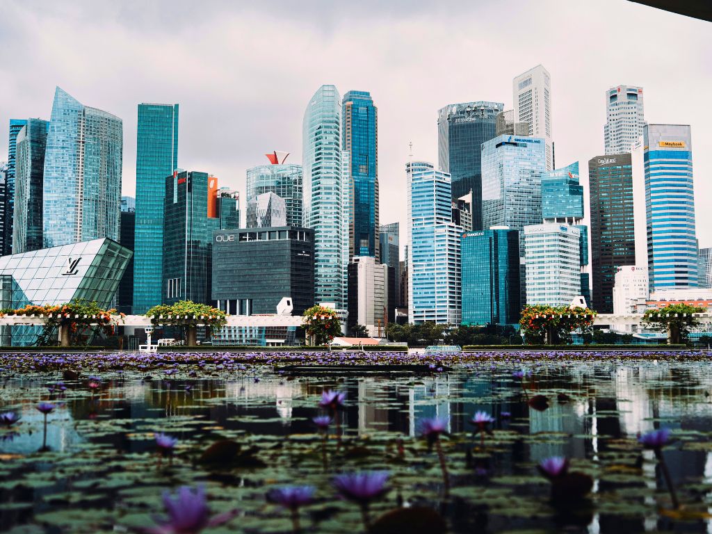 affordable chiropractor singapore