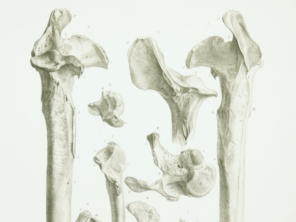 heal spa natural therapy