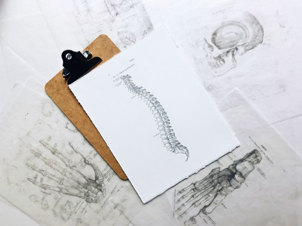 chiropractor near me