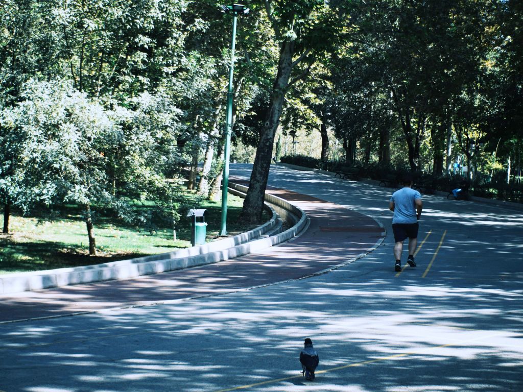 physiotherapy near me