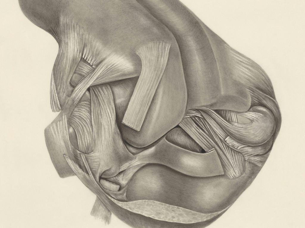 best physiotherapy singapore