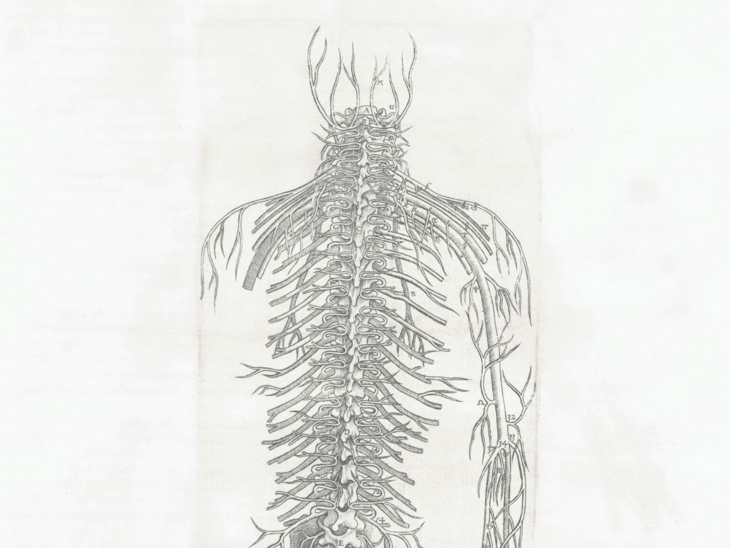 chiropractor singapore novena