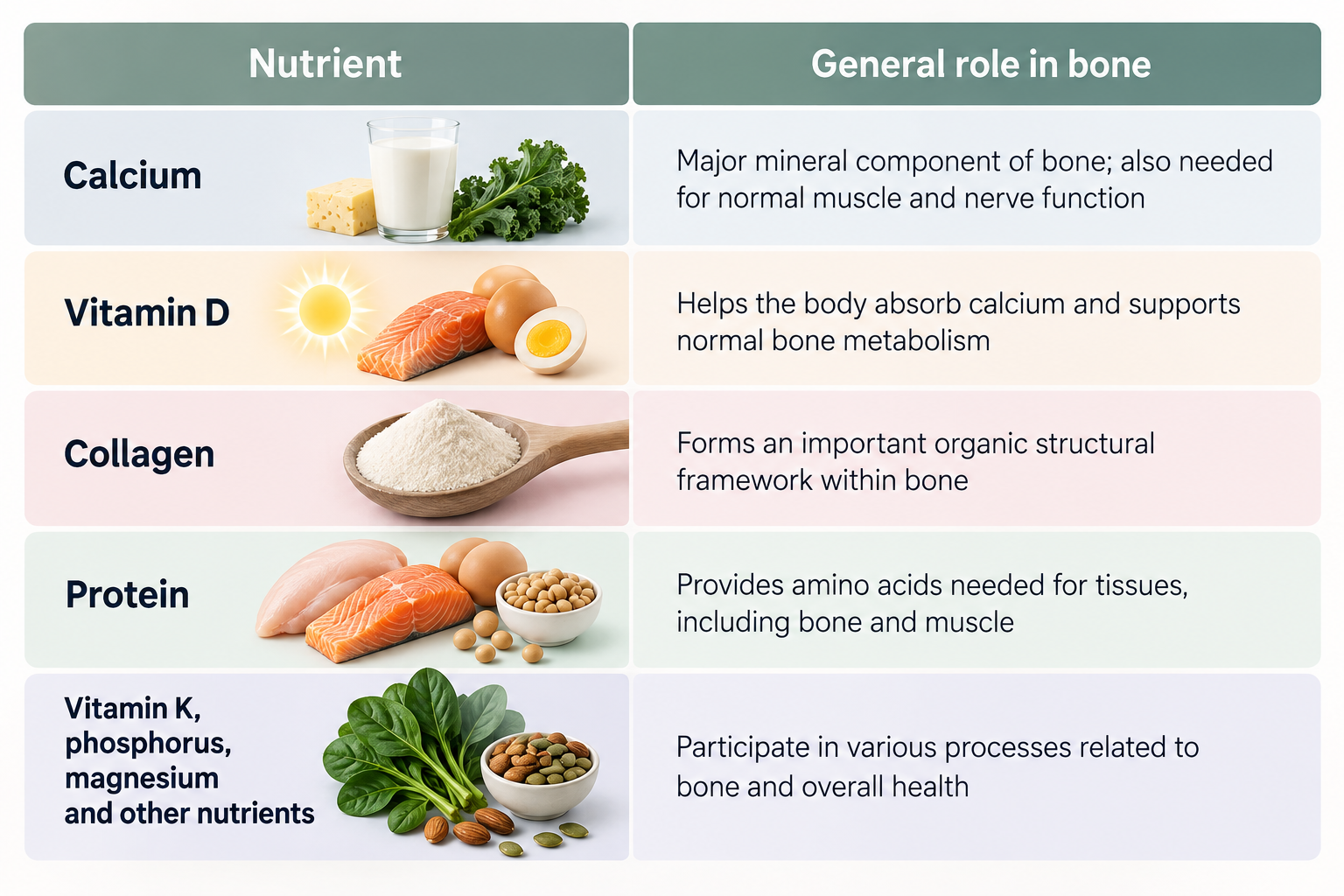 Nutritious Food and their Roles in our Bones