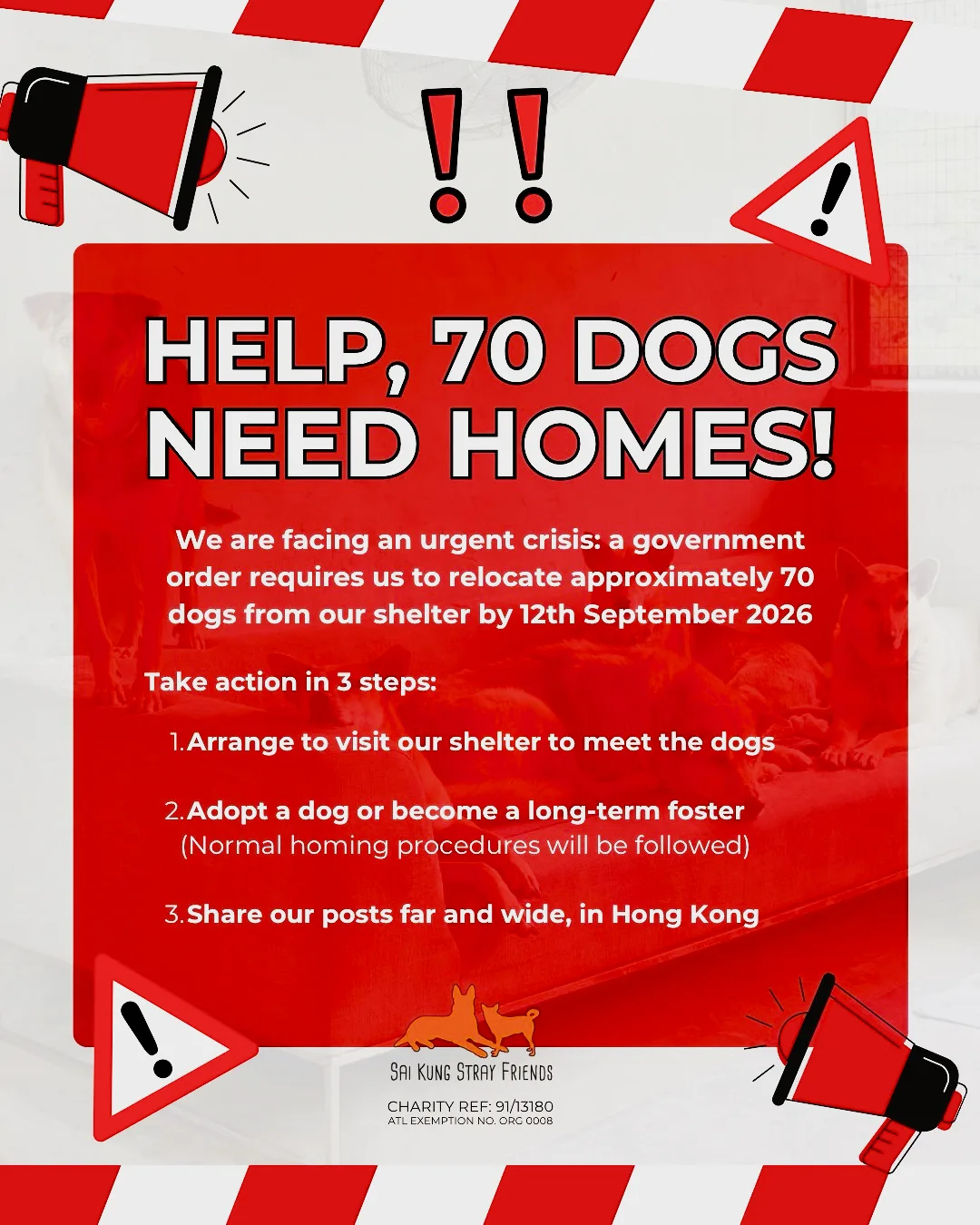 Sai Kung Stray Friends call for help