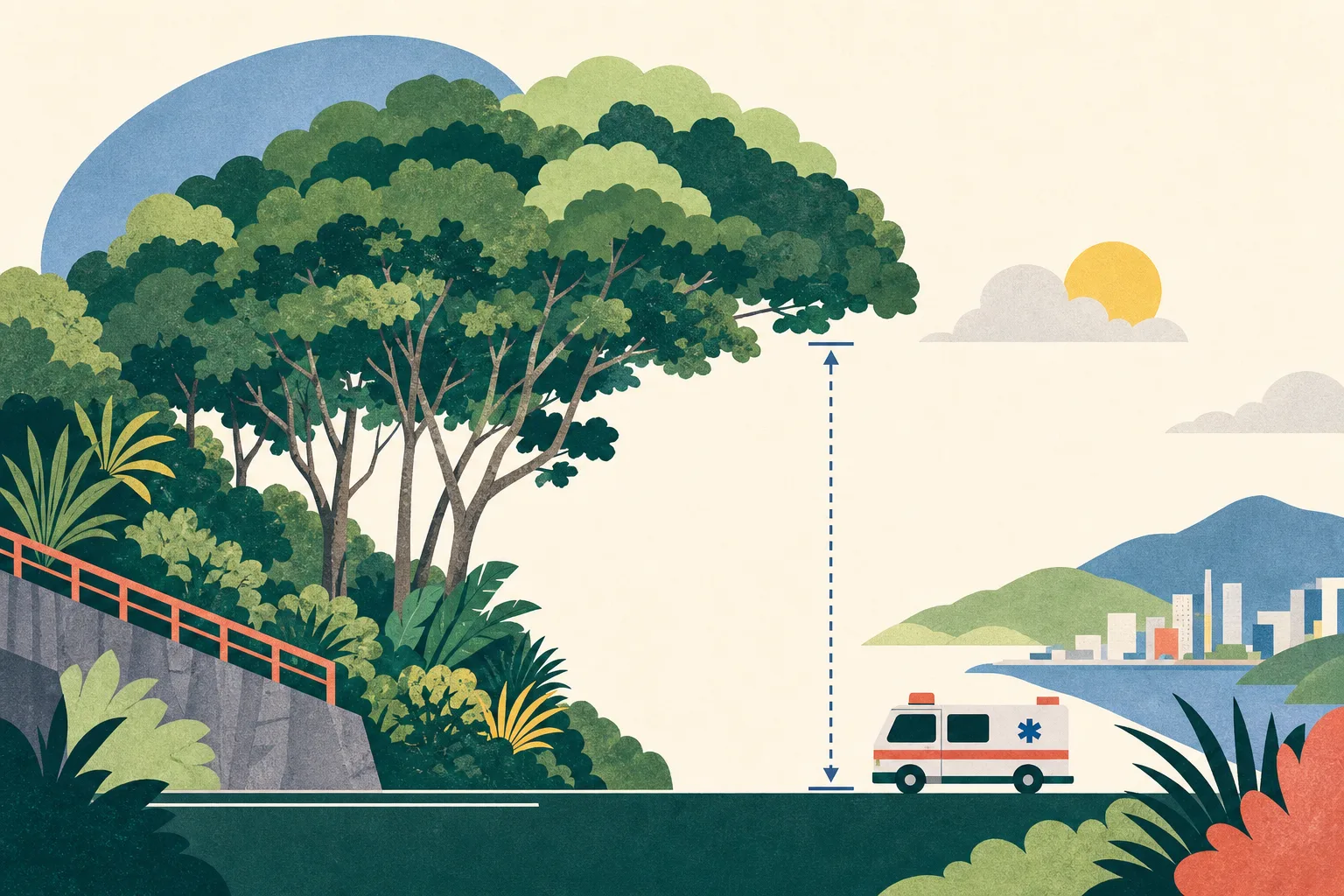 Flat graphic illustration of a leafy roadside tree canopy above a simplified Tai Tam road edge, with a broken vertical measurement line of about five metres and a small ambulance shape below.