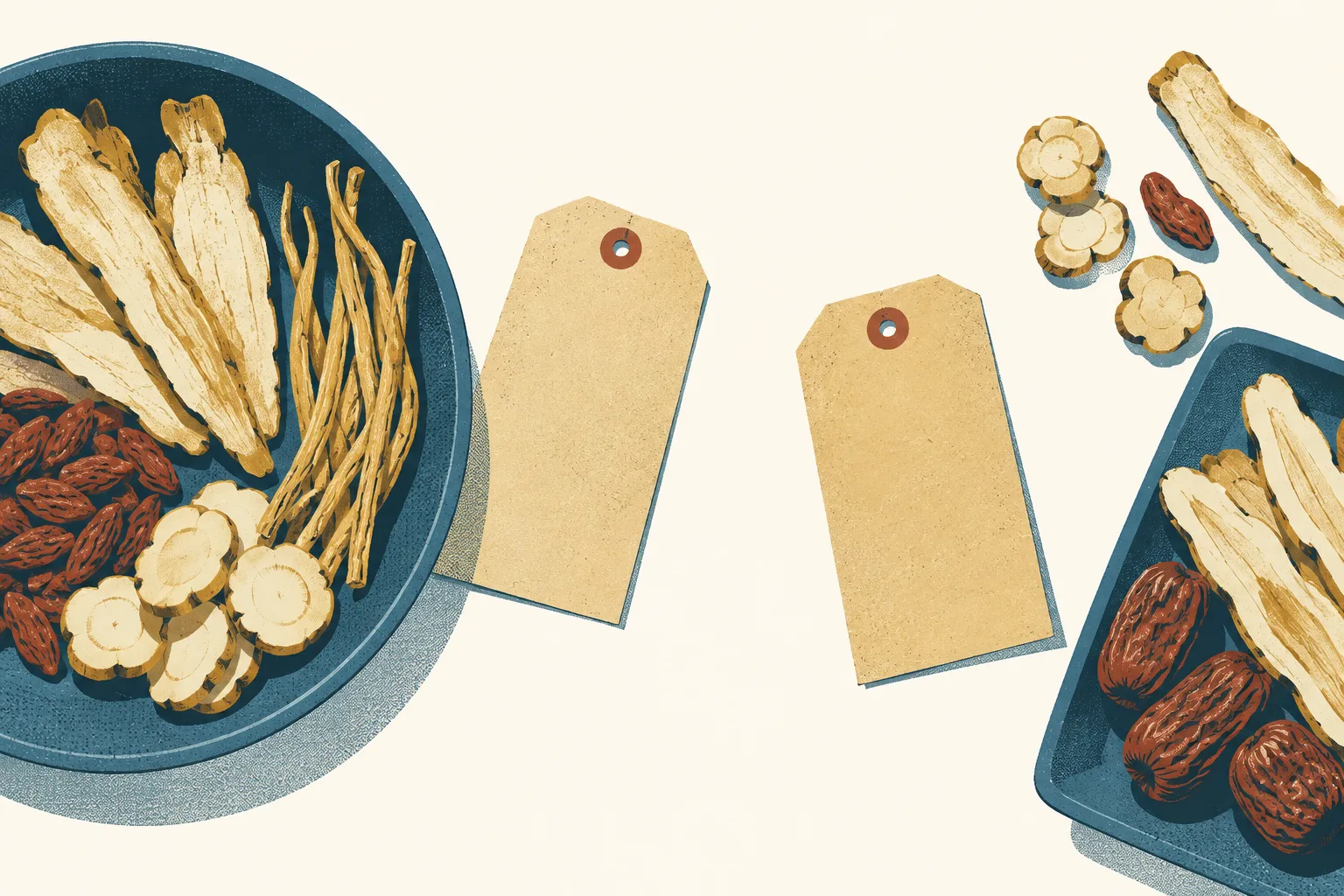 Dried medicinal ingredients sit beside two separate blank paper slips on a light cream surface, illustrated in petrol blue, ochre and small rust accents.