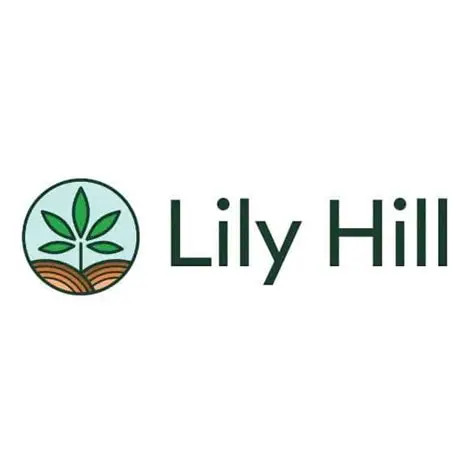 Lily Hill