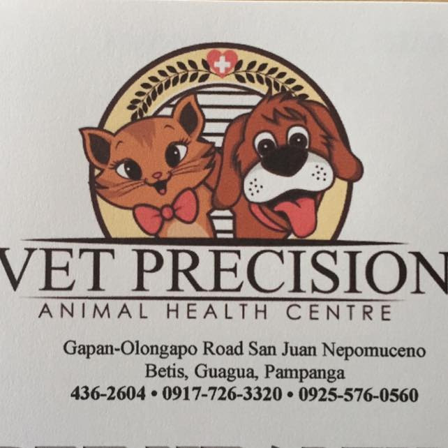 VET PRECISION CORPORATION