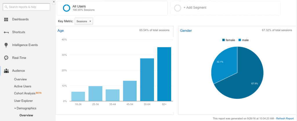 An overview of Google's target audience