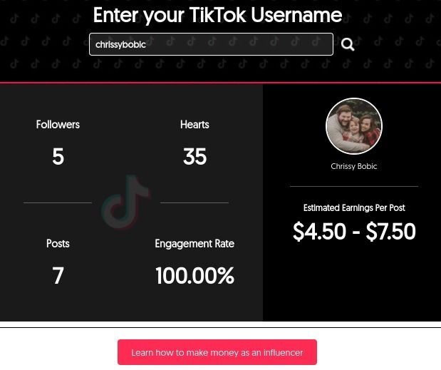 TikTok ad budget calculators