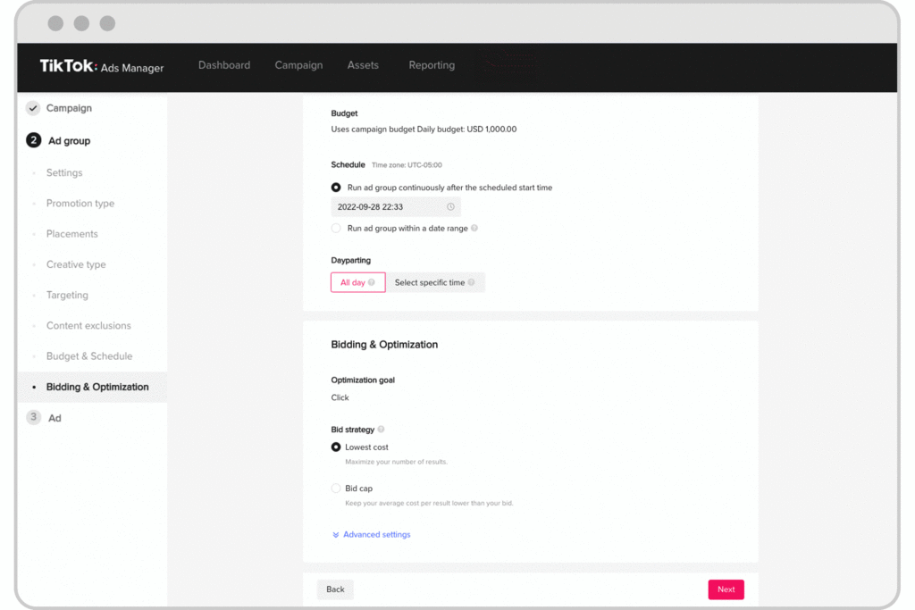 Tips for optimizing TikTok ad budget