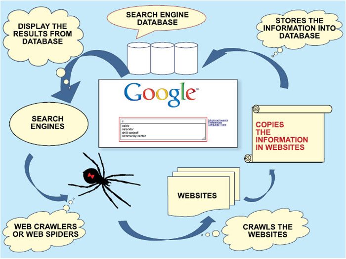 What is a search engine on the computer?