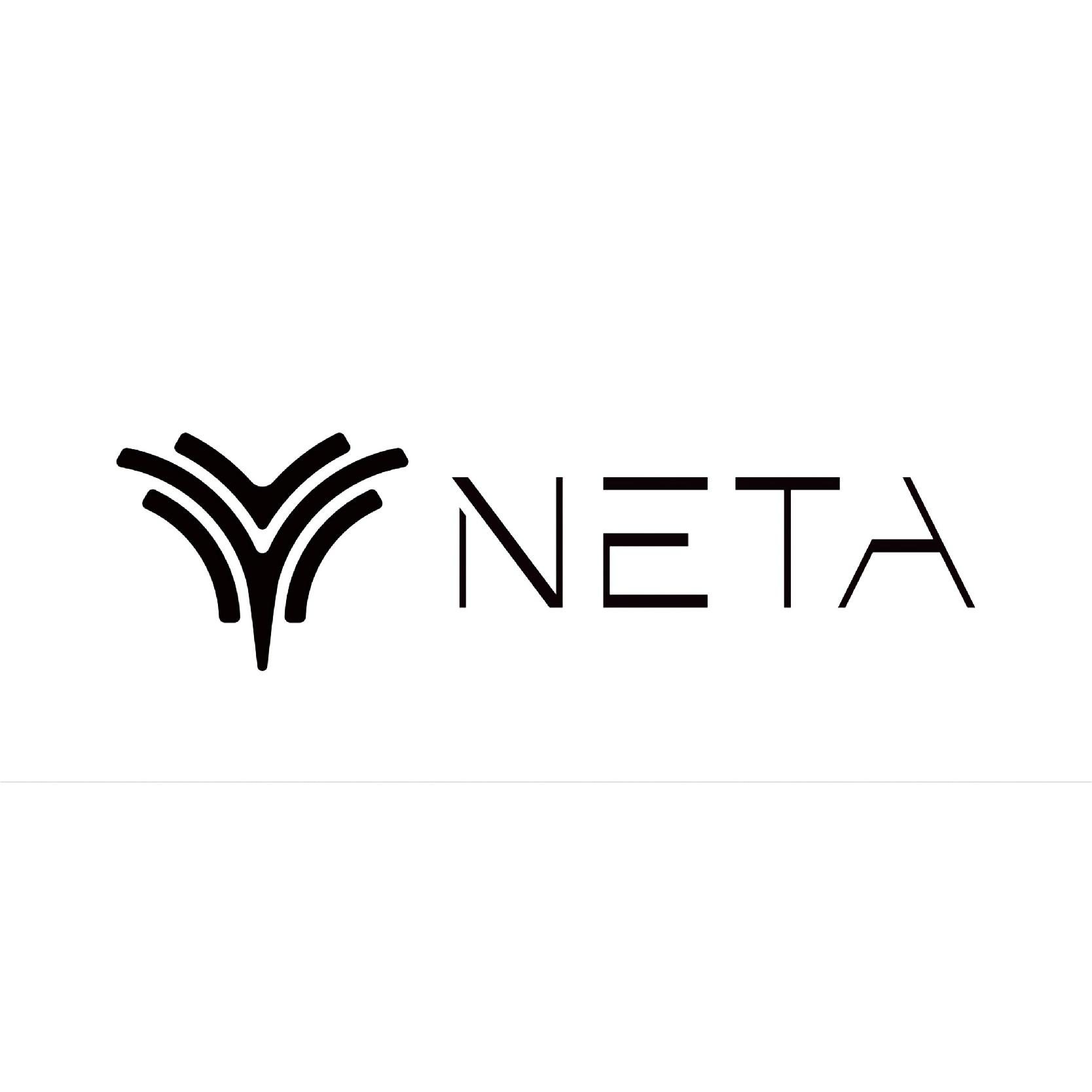 logo NETA-400px-01