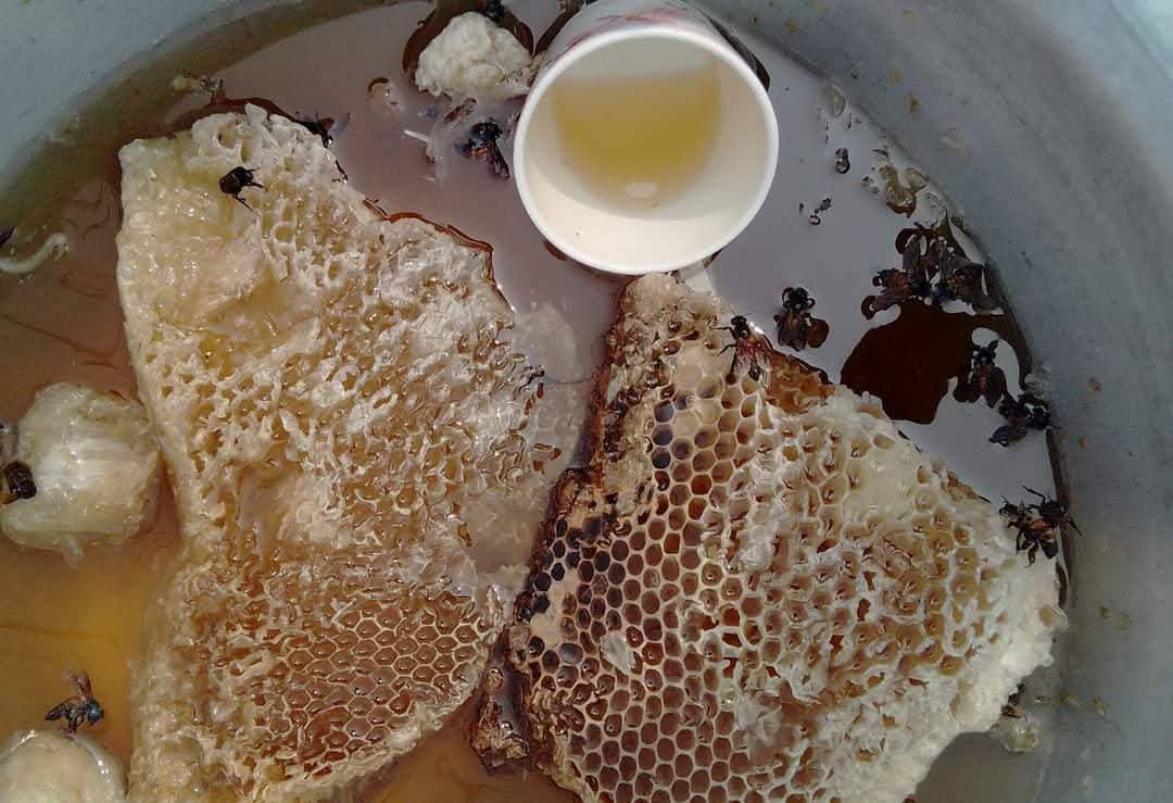 Honey - সুন্দরবনের মধু