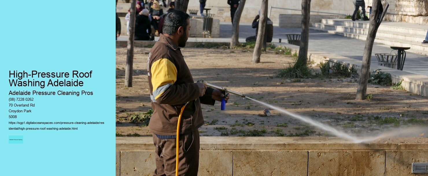 High-Pressure Roof Washing Adelaide