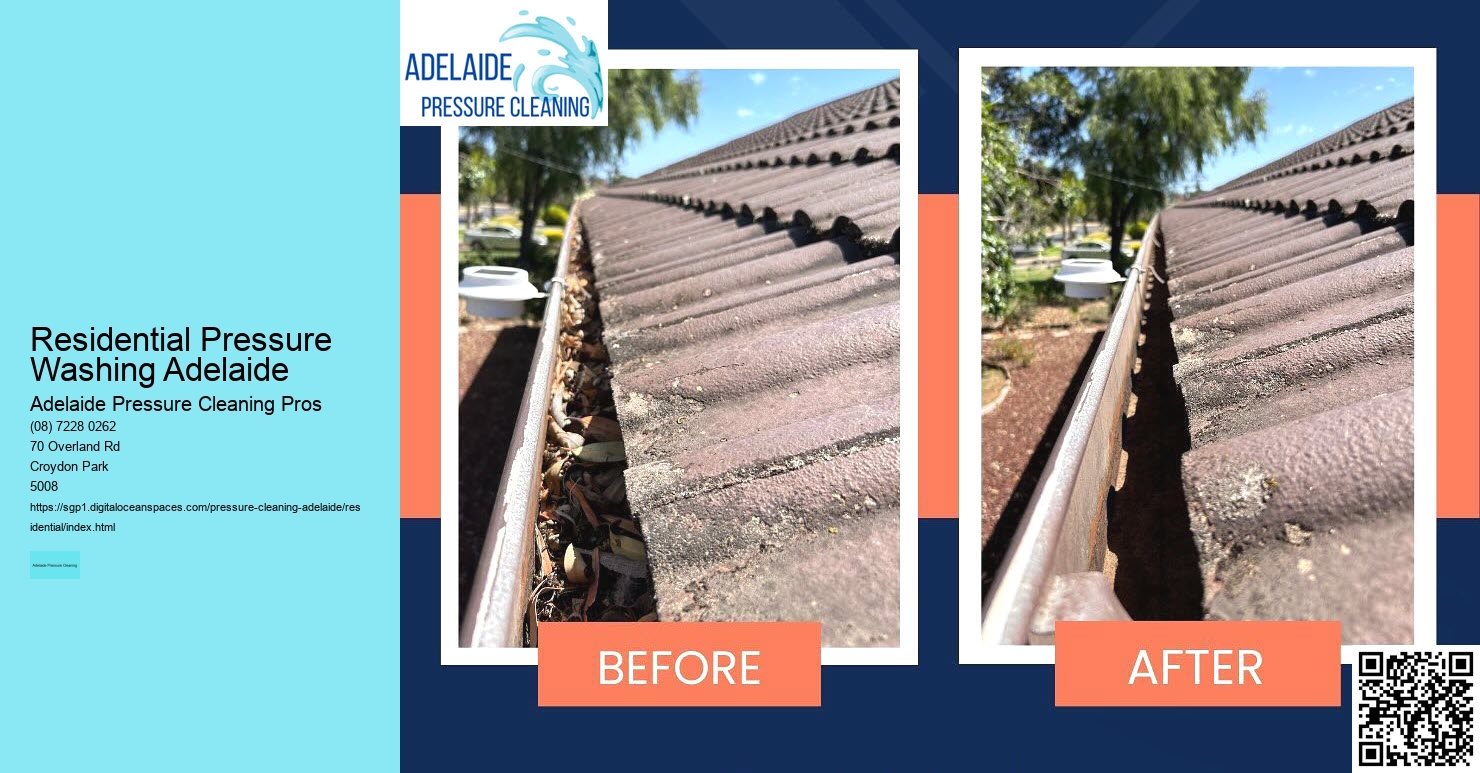 The Importance of Regular Roof Cleaning in Adelaide