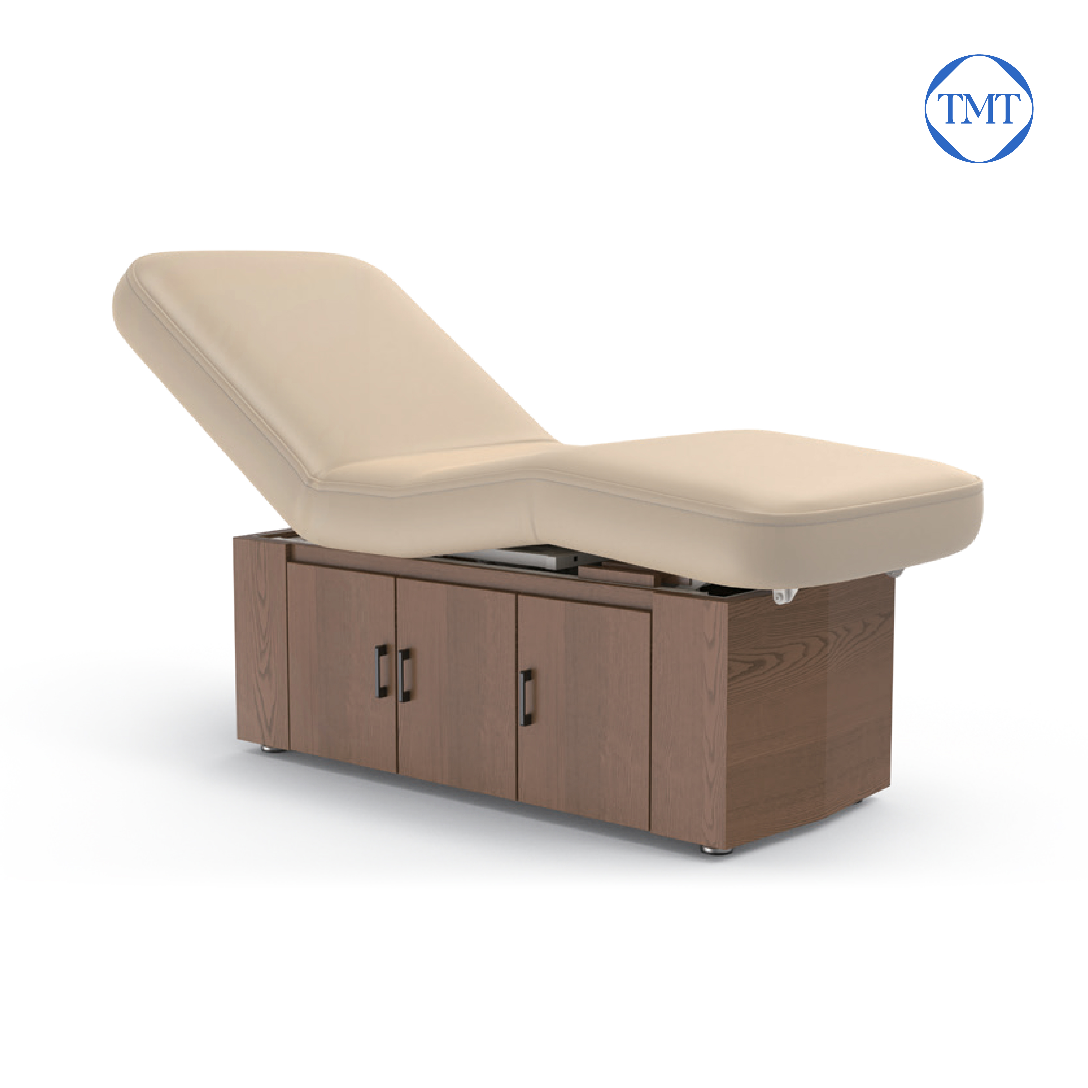 Alexander electric spa treatment bed professional spa equipment เตียงไฟฟ้า Alexander