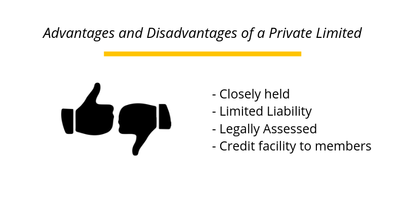 Advantages and Disadvantages of a Private Limited